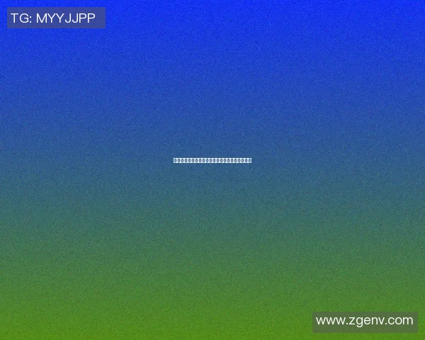 篮球明星手环品牌全解析精美图片展示与购买指南